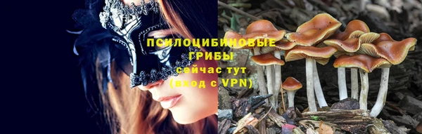 скорость mdpv Белокуриха