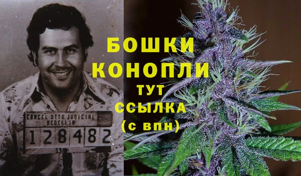 метамфетамин Богданович